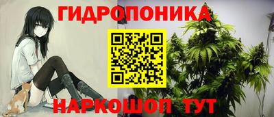 стаф Лесосибирск
