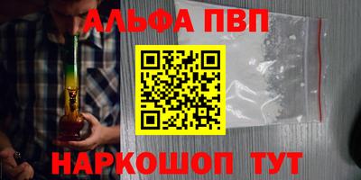 стаф Лесосибирск