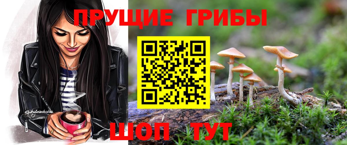 Псилоцибиновые грибы Psilocybe Железноводск